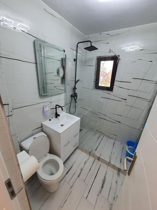 Iasi City - Central Apartment Zewnętrze zdjęcie