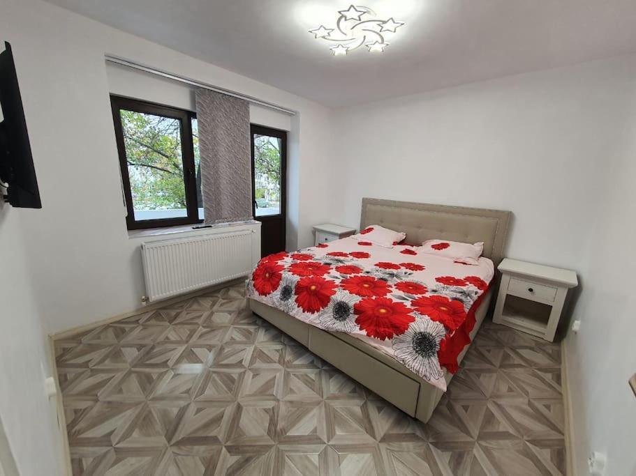 Iasi City - Central Apartment Zewnętrze zdjęcie